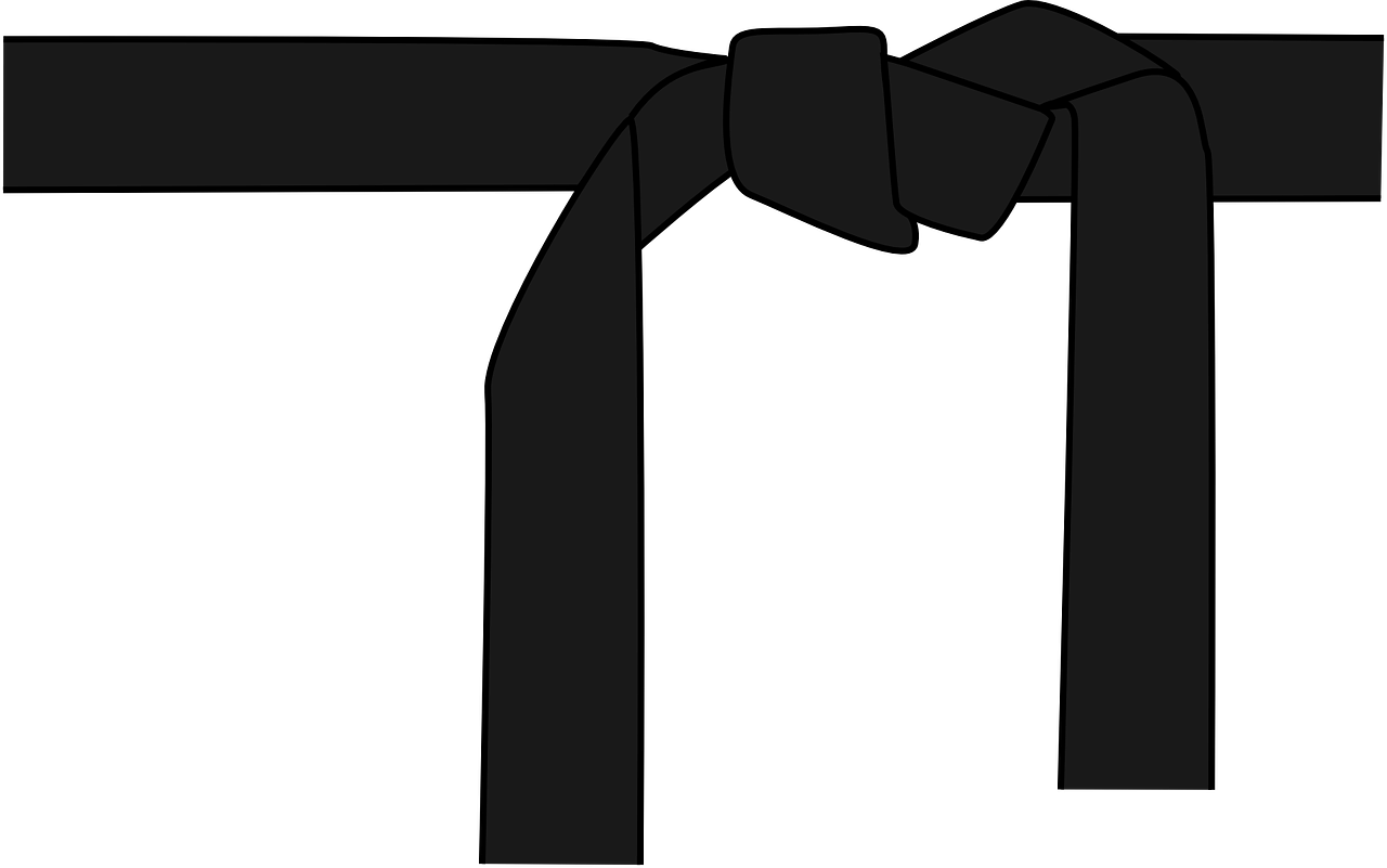 judo